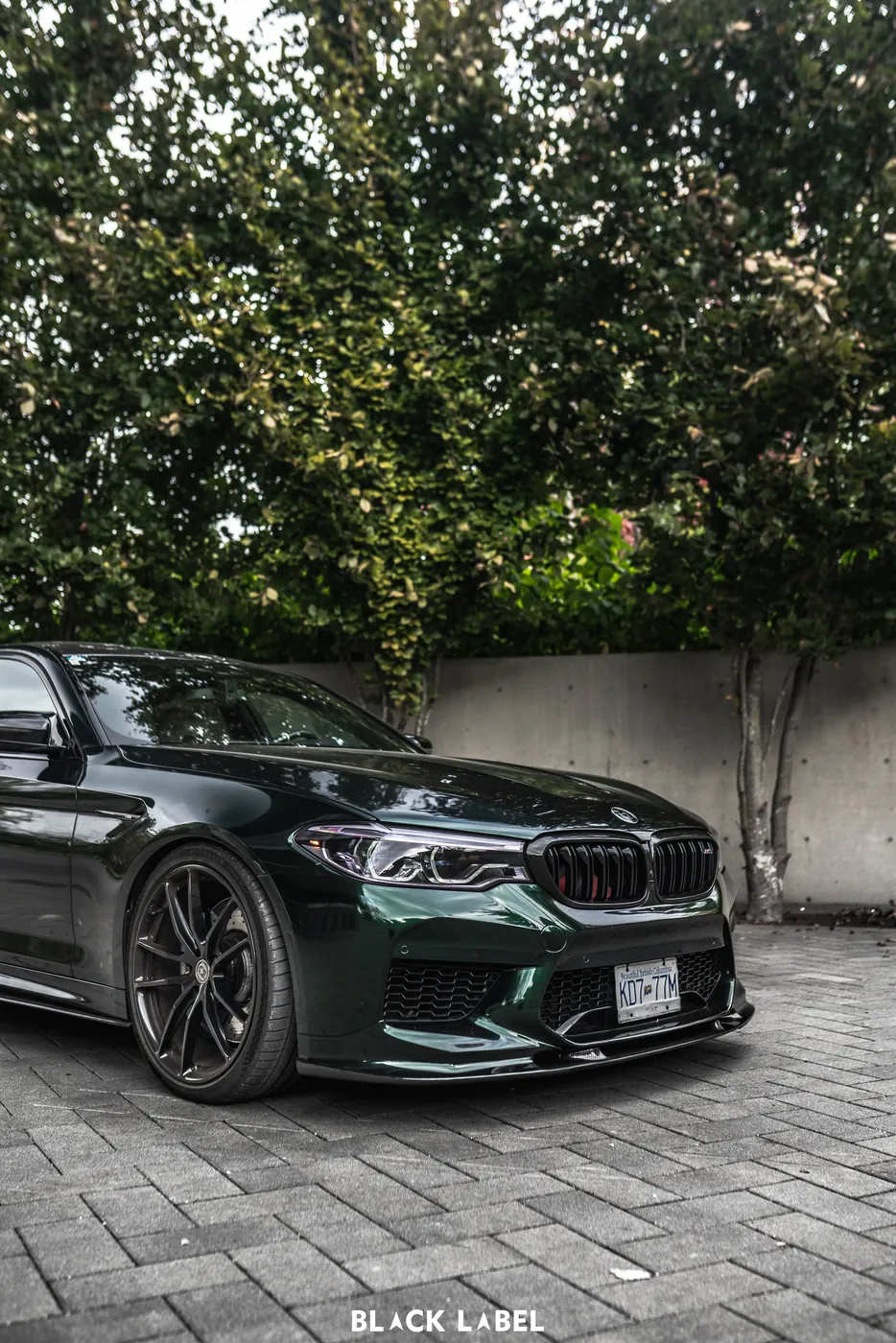 BMW M5 (F90) — Gloss Emerald Green